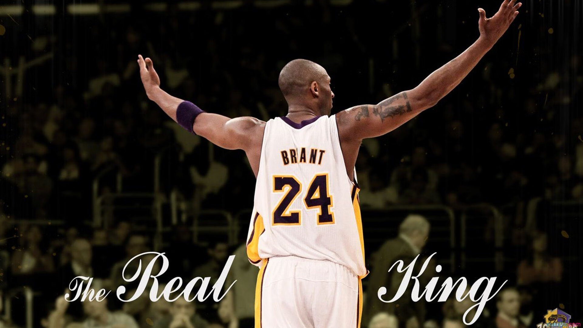 赛季最佳球员候选名单公布